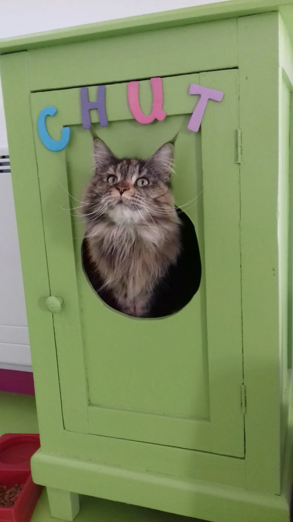 Les amis de Sally (pension pour chats) - Ardèche pet otel