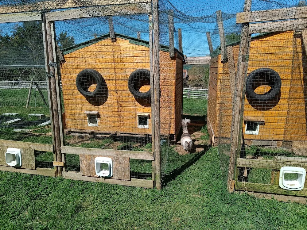 Les Coussinets en Eventail - Ardèche pet otel