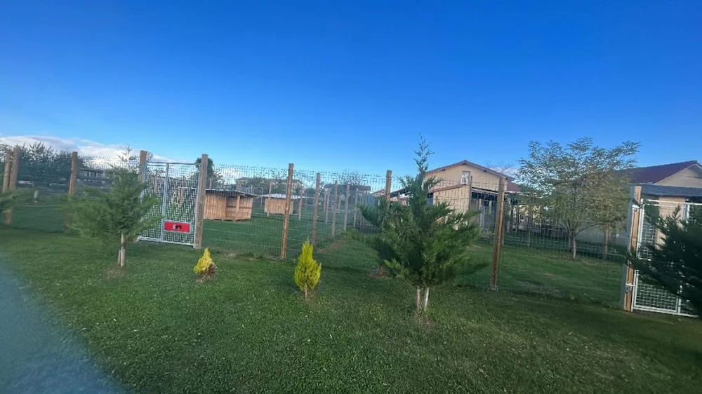 Les molosses guerrier d’aton - Ardèche pet otel görseli 3