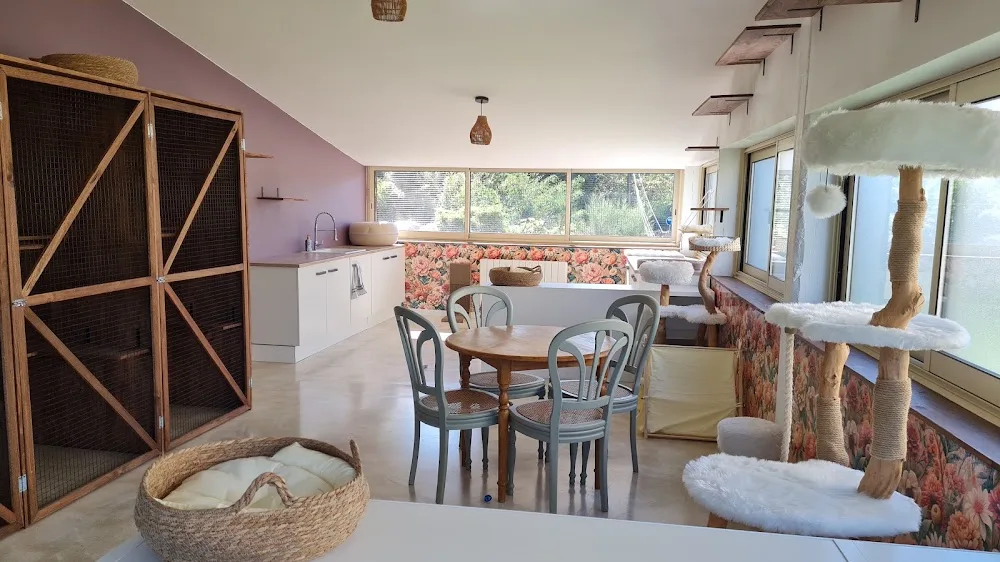 Les Tipitichats - Pension et Comportementaliste félin - Ardèche pet otel görseli 2