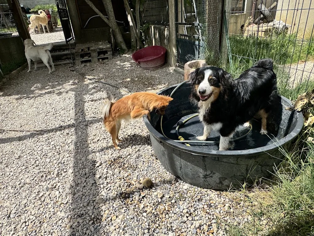 Noun'Animaux Services - Ardèche pet otel görseli 3