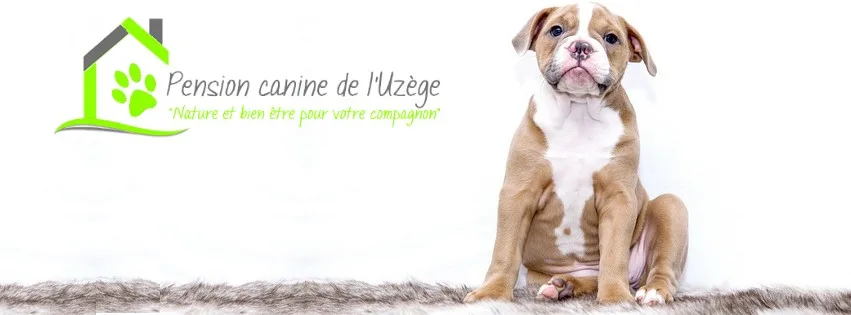 Pension canine de l’uzège - Ardèche pet otel