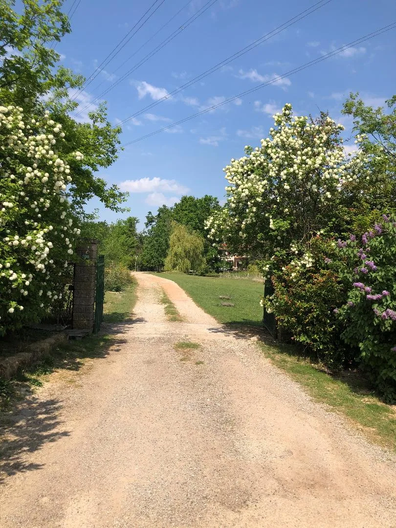 Pension canine des Taravas - Ardèche pet otel görseli 2