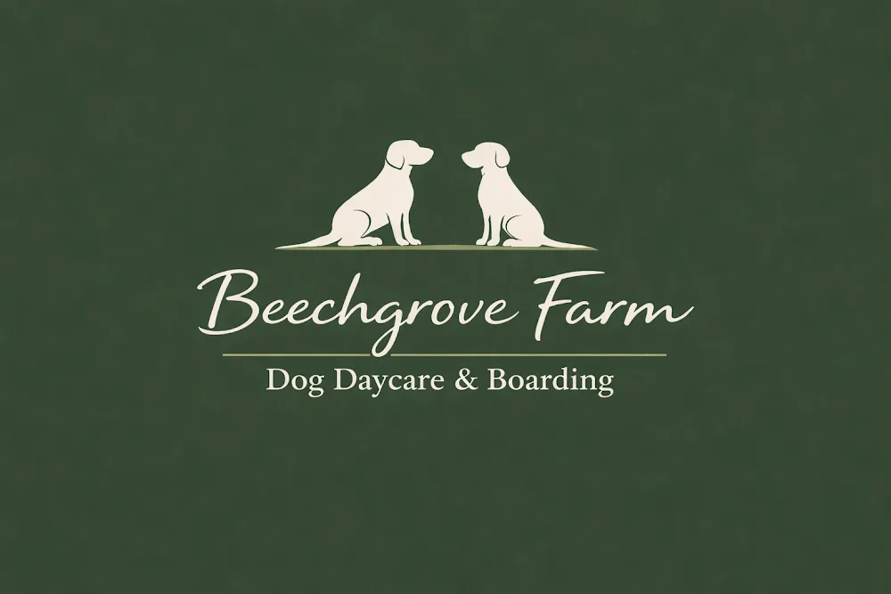Beechgrove Farm Dog Daycare & Boarding - Ards and North Down pet otel