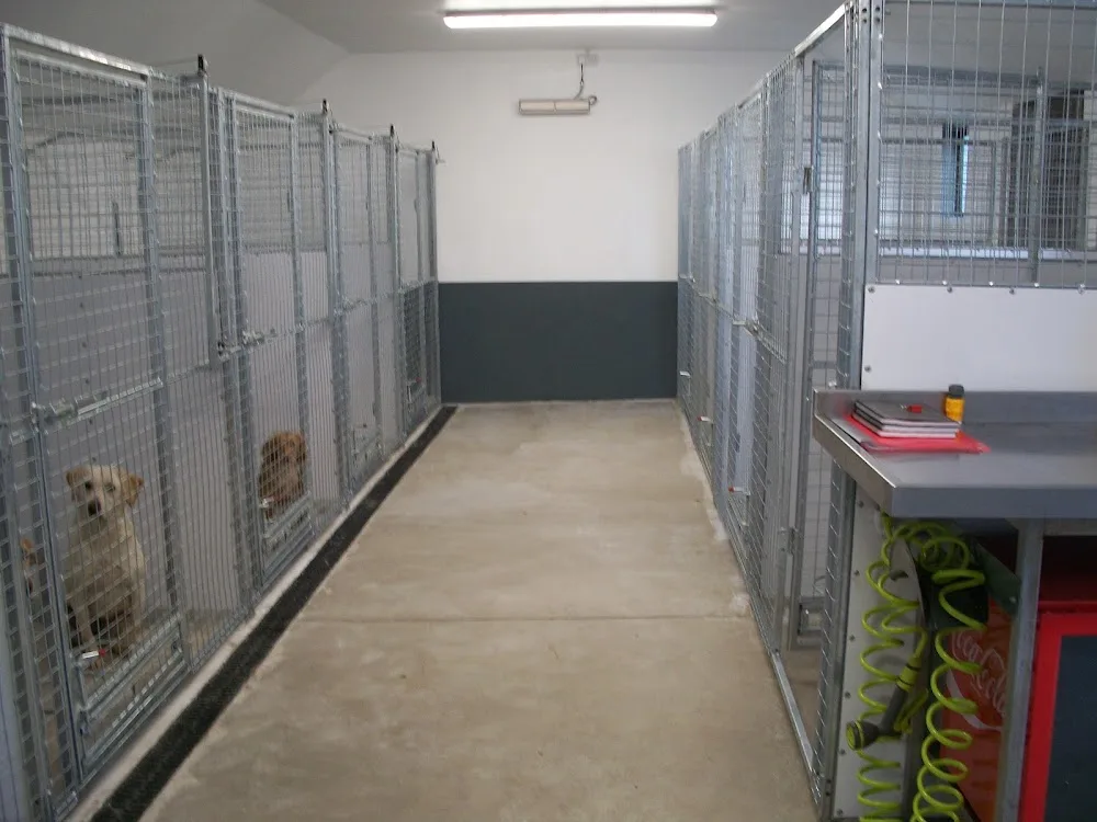 Keelstown Boarding Kennels - Ards and North Down pet otel