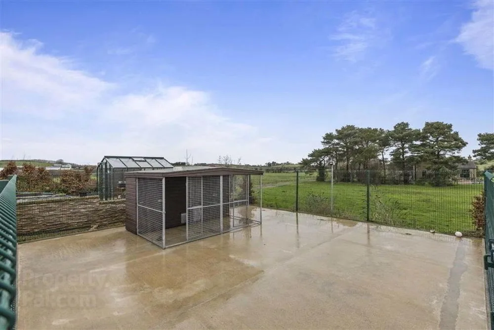 Kennels and Crafts - Ards and North Down pet otel görseli 3
