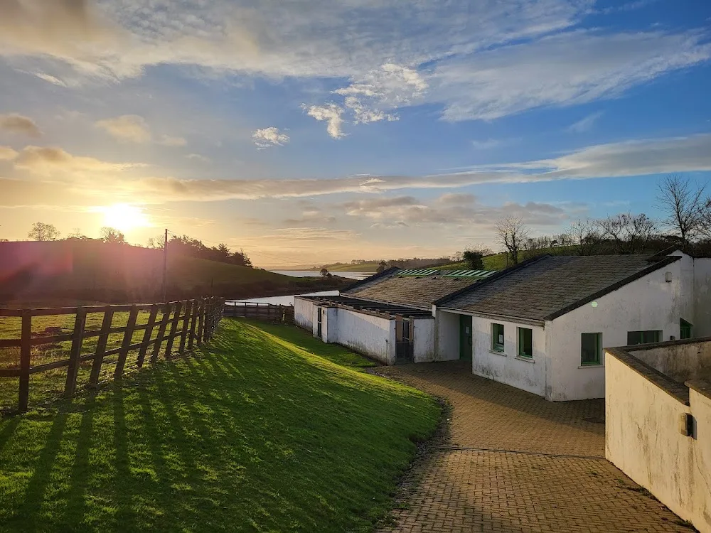 Ringhaddy Pet Lodge - Ards and North Down pet otel görseli 3