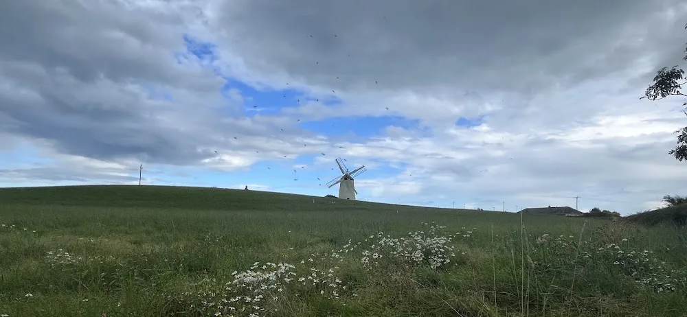 Windmill Cat Hotel - Ards and North Down pet otel görseli 2