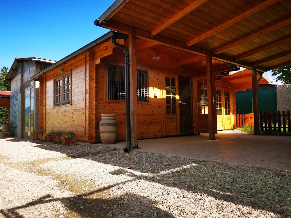 L'Hotel di Carlotta - Pensione per gatti e per cani - Arezzo pet otel