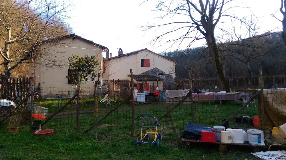 Pensione per cani e gatti Come A Casa - Arezzo pet otel