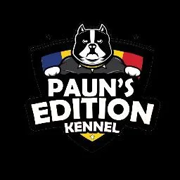 Paun's Edition Kennel (Gabriel Păun) - Argeș pet otel görseli 4