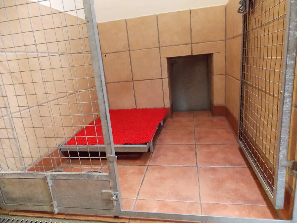 Ardoch Boarding Kennels - Argyll and Bute pet otel görseli 3
