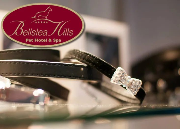 Bellslea Hills Pet Hotel & Spa - Argyll and Bute pet otel