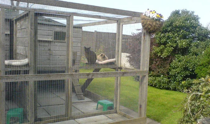 Country Kennels & Cattery - Argyll and Bute pet otel
