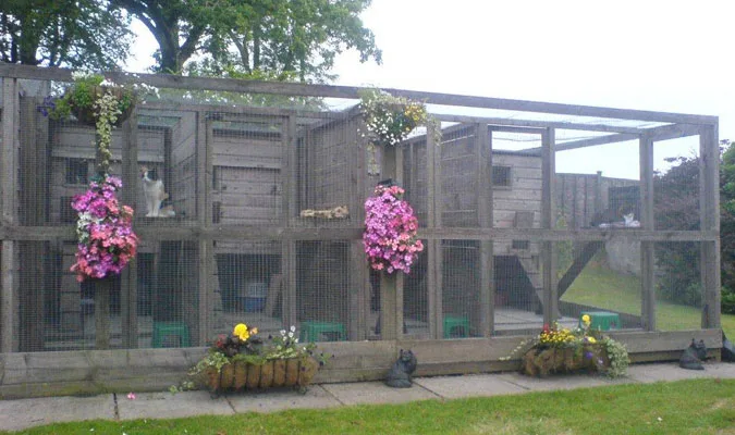 Country Kennels & Cattery - Argyll and Bute pet otel görseli 3