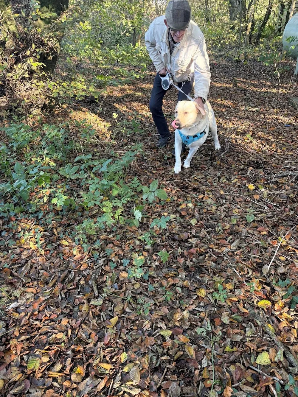 Ellandee Kennels & Cattery - Argyll and Bute pet otel
