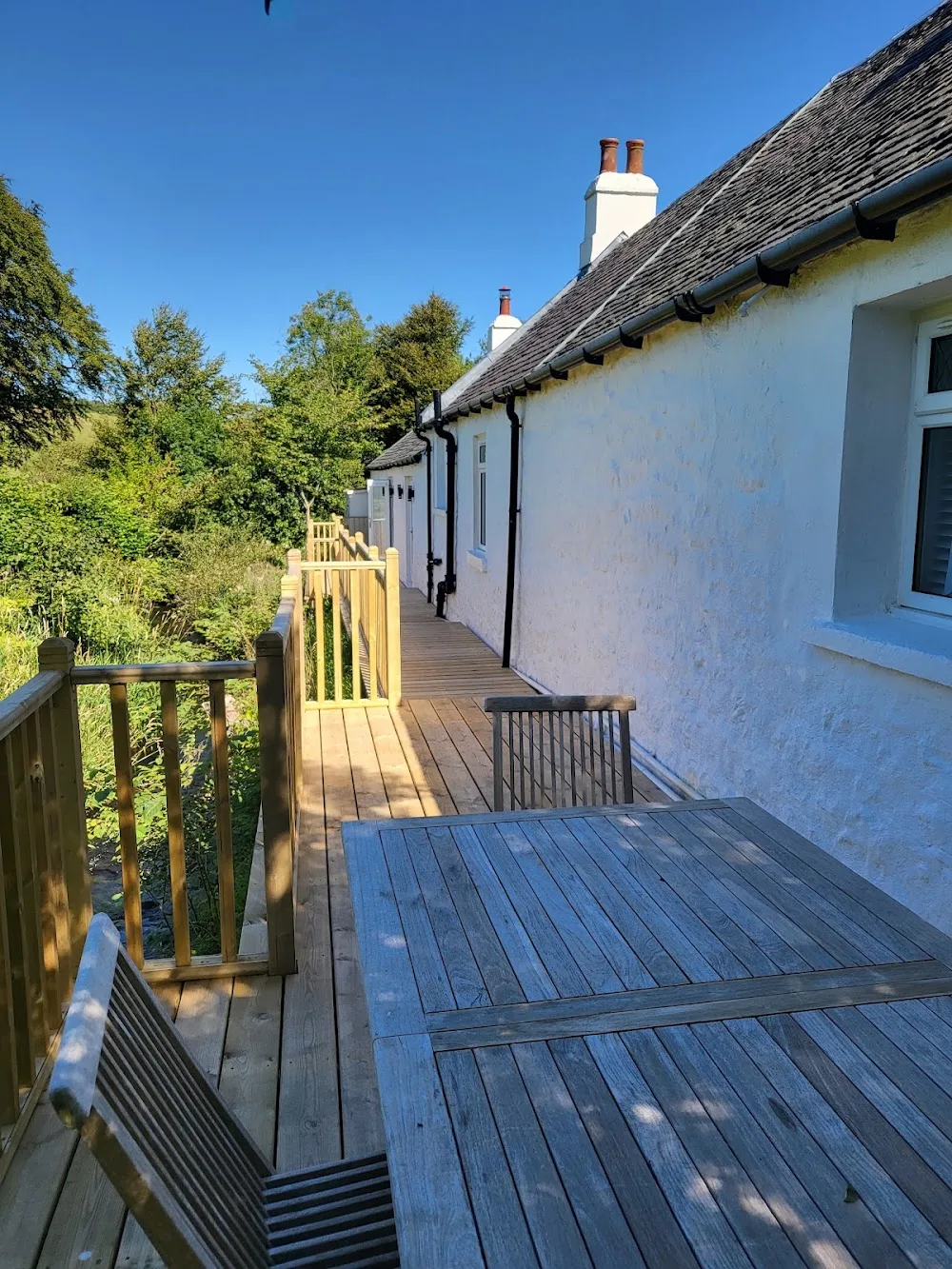 Holmbyre Boarding Cattery - Argyll and Bute pet otel
