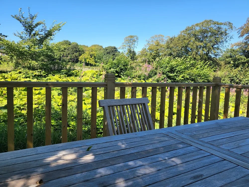 Holmbyre Boarding Cattery - Argyll and Bute pet otel görseli 3