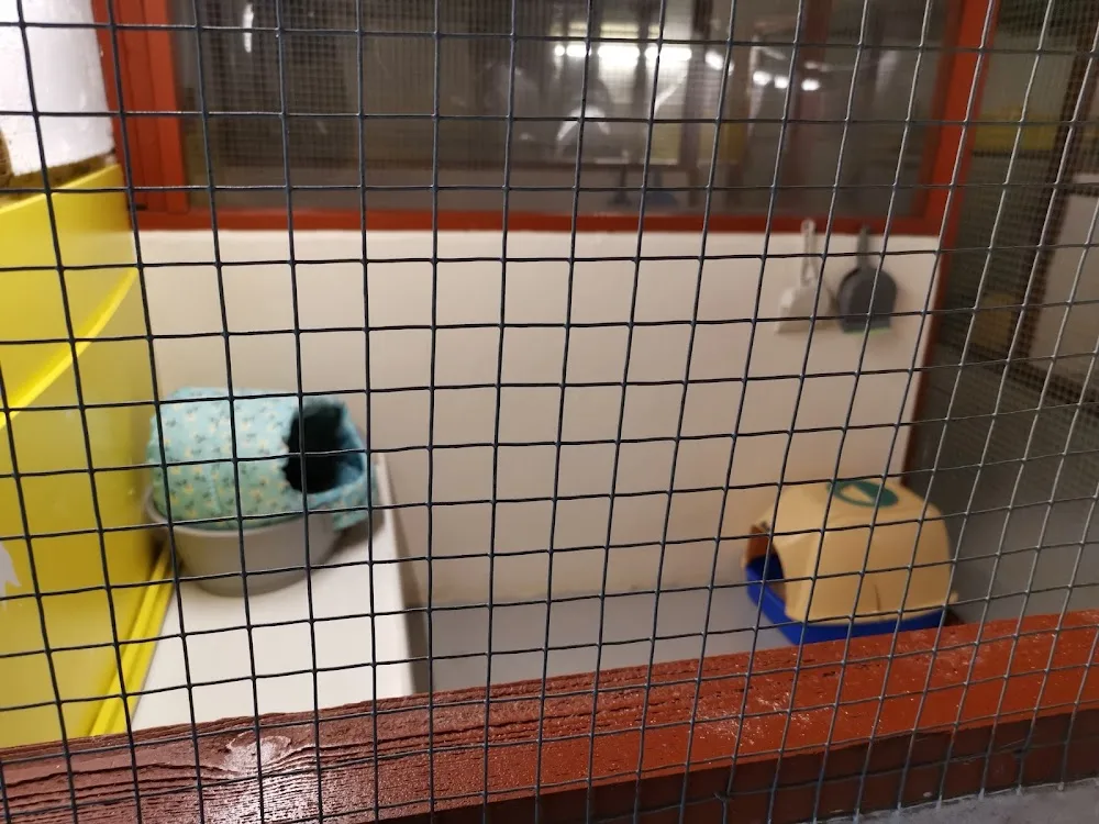 Kittochside Country Cattery - Argyll and Bute pet otel