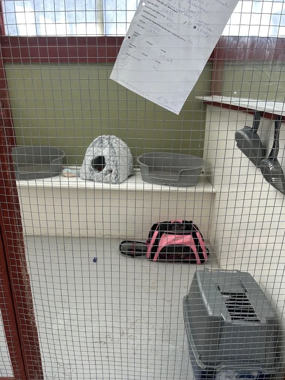 Kittochside Country Cattery - Argyll and Bute pet otel görseli 3