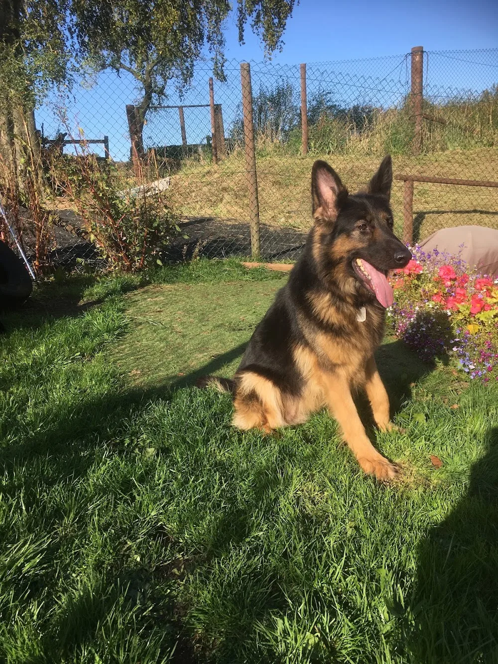 Kookie Kennels - Argyll and Bute pet otel görseli 3