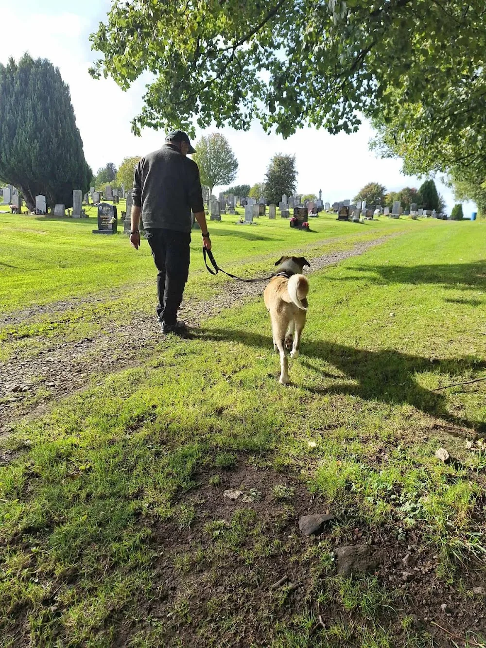 Levernbank Kennels - Argyll and Bute pet otel