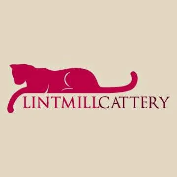 Lintmill Cattery - Argyll and Bute pet otel görseli 3