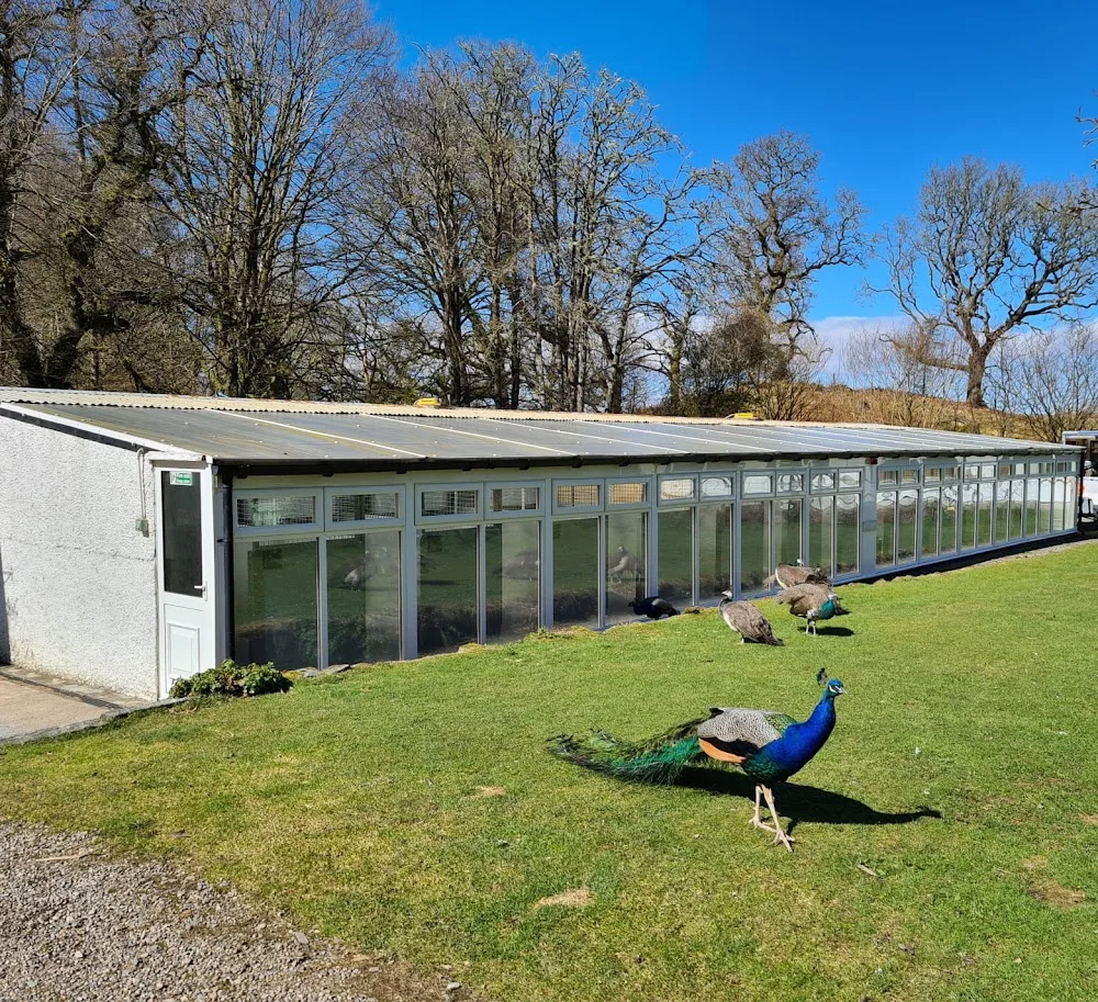 Lochandubh Kennels - Argyll and Bute pet otel görseli 3