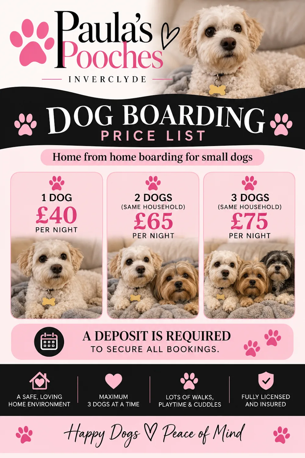 Paula's Pooches Inverclyde - Argyll and Bute pet otel görseli 3