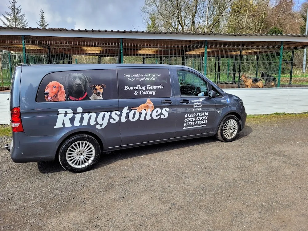 Ringstone Boarding Kennels and Cattery - Argyll and Bute pet otel görseli 2