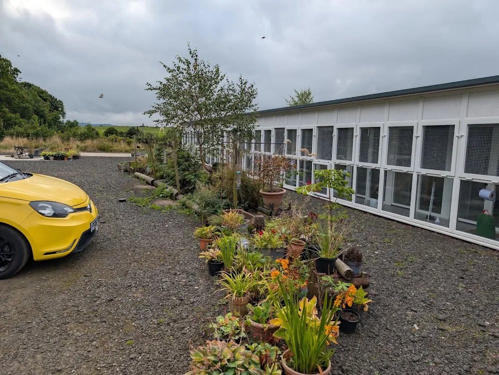 Rowan Tree Cattery - Argyll and Bute pet otel görseli 2