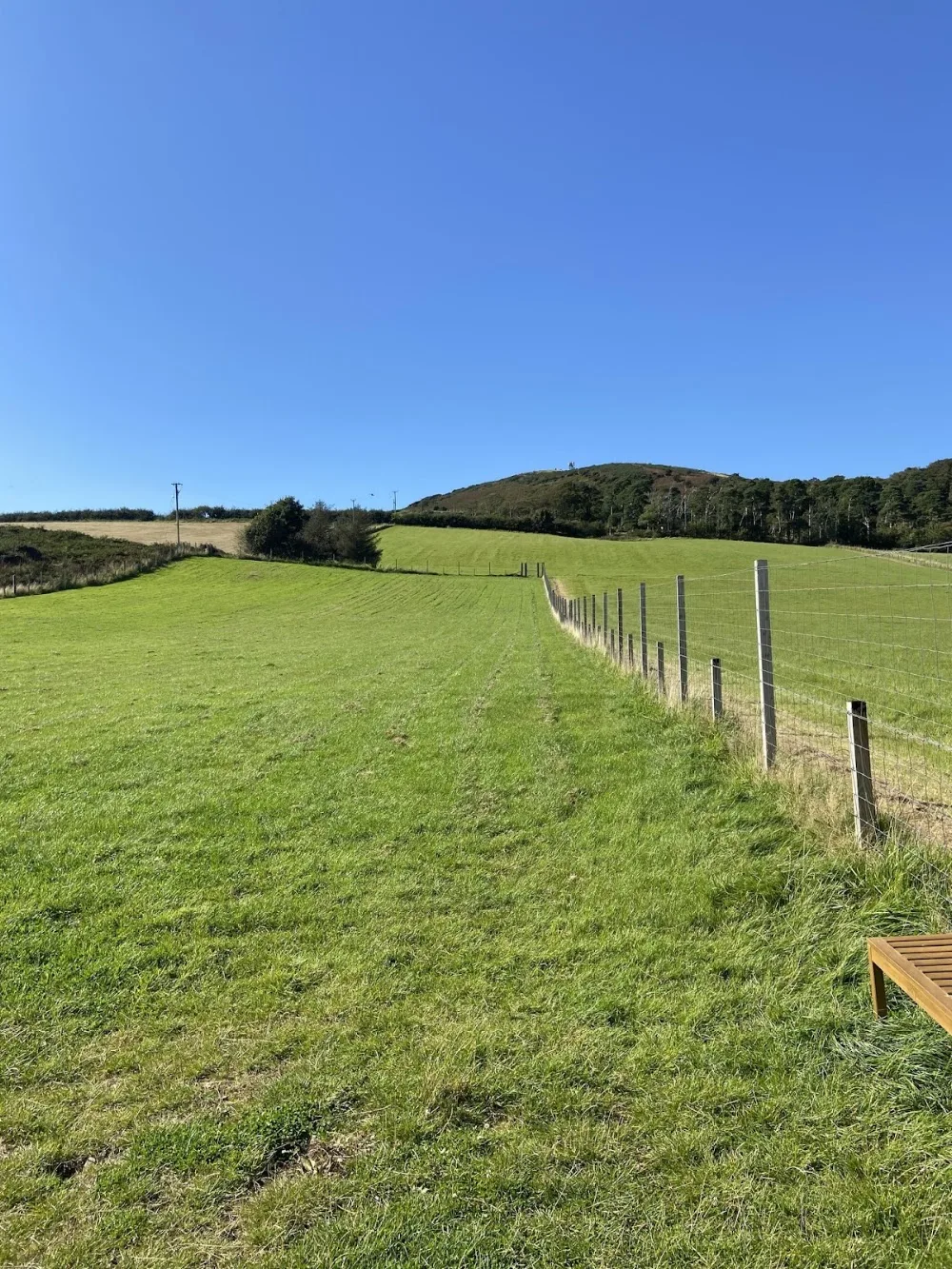 Stay and Play Boarding at Thirdpart Kennels - Argyll and Bute pet otel görseli 3