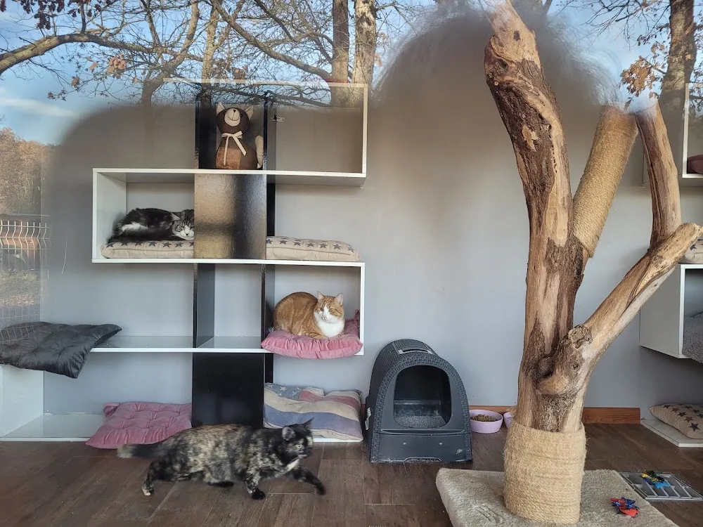 AC-CROCS - Pension - Éducation - Activités canines - vente de croquettes - Ariège pet otel
