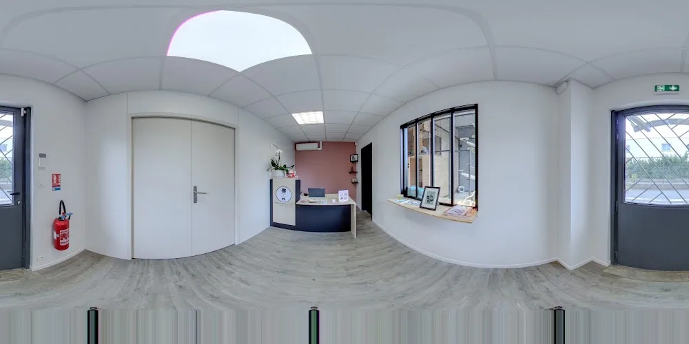 Georges Cat Colomiers - Ariège pet otel görseli 7