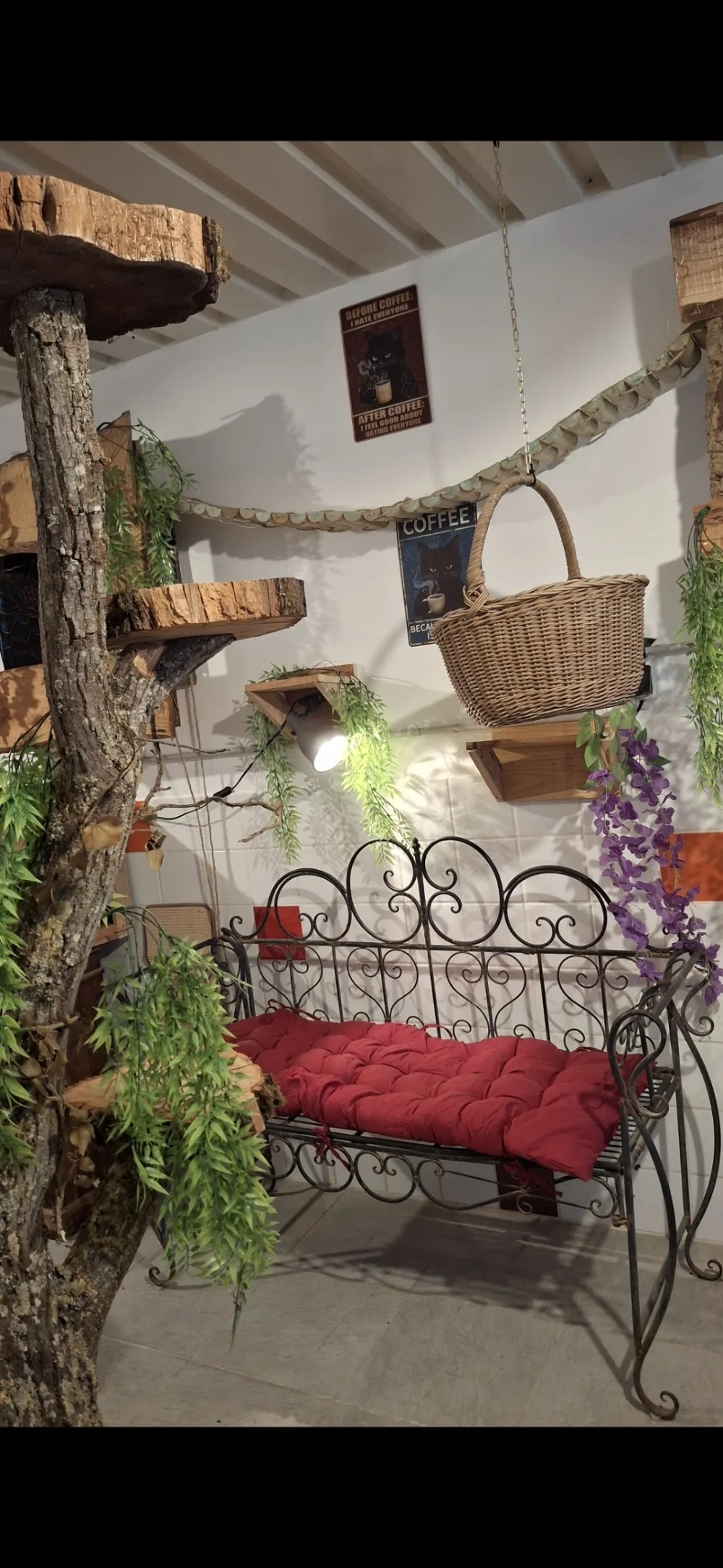 L’Etreinte Féline - Ariège pet otel görseli 6
