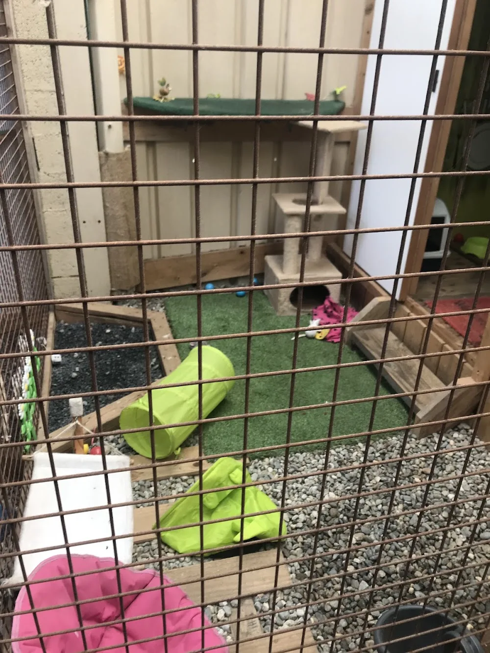 O Chat Roi, pension chat Toulouse - Ariège pet otel