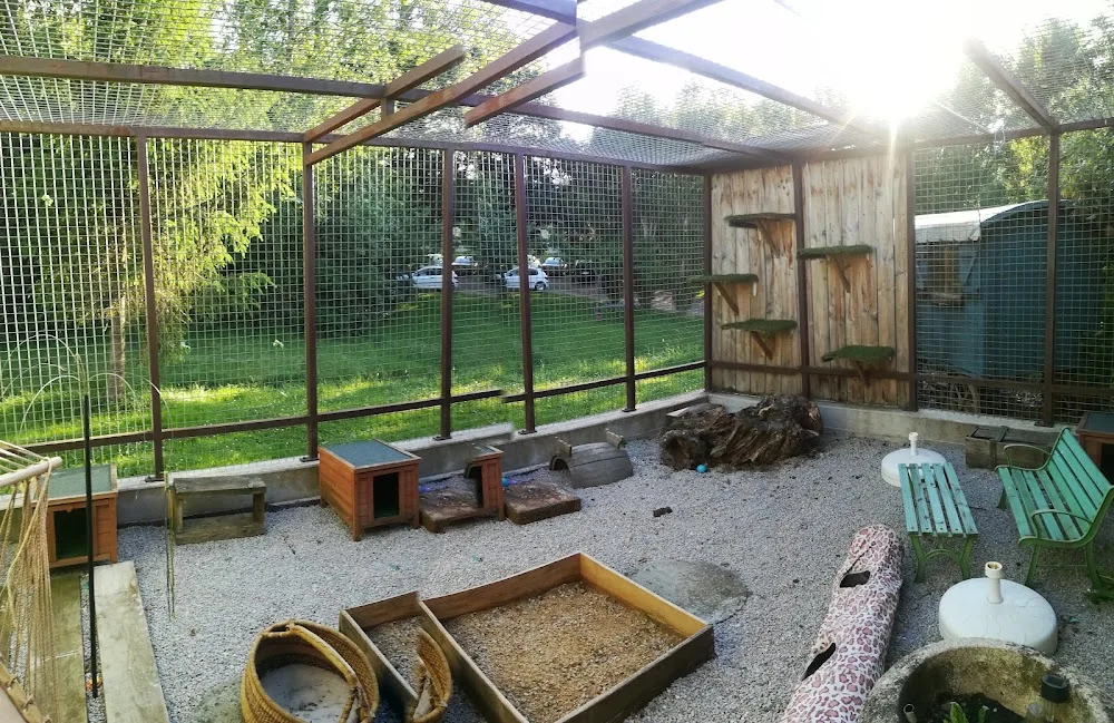 O Chat Roi, pension chat Toulouse - Ariège pet otel görseli 3