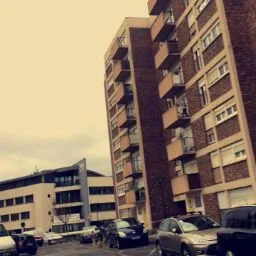 O Chat Roi, pension chat Toulouse - Ariège pet otel görseli 5