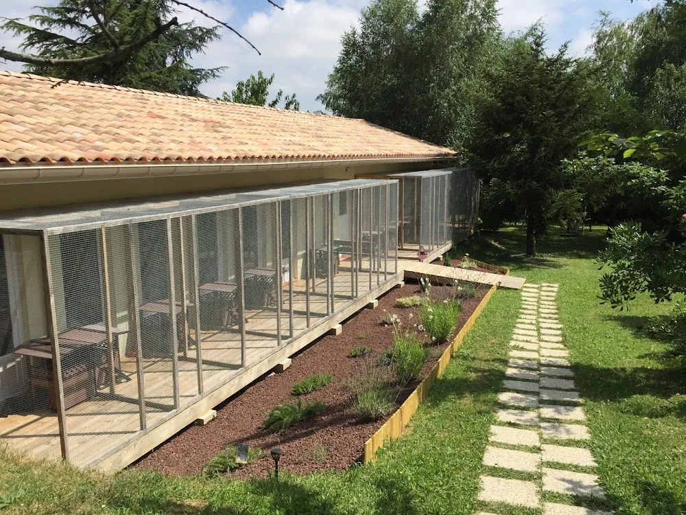 Pension Entre Chats , Pension Chats Toulouse - Ariège pet otel