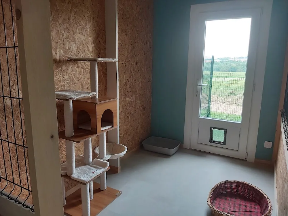Pension féline Farandole des Chats - Ariège pet otel görseli 3