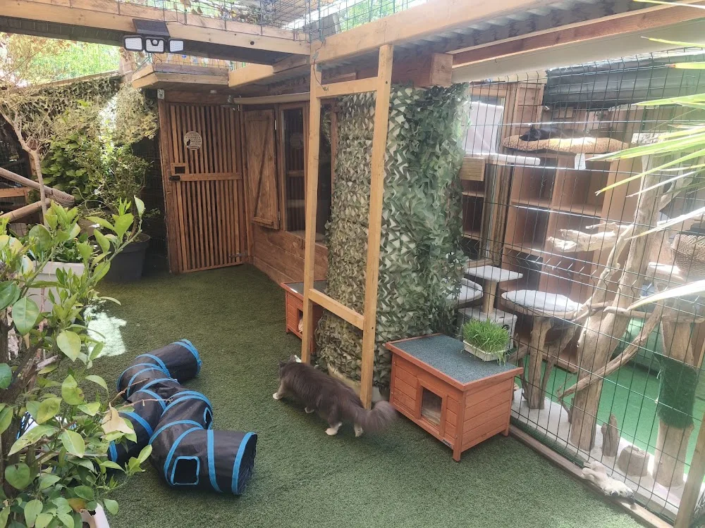 Pension pour chat - Ariège pet otel görseli 2