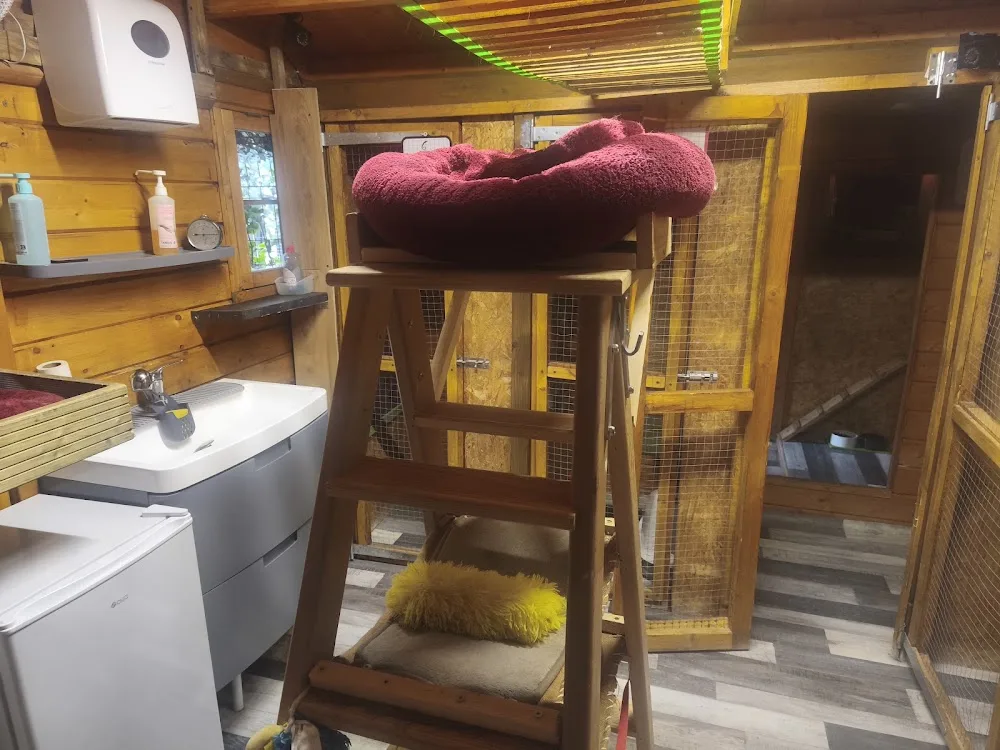 Pension pour chat - Ariège pet otel görseli 3