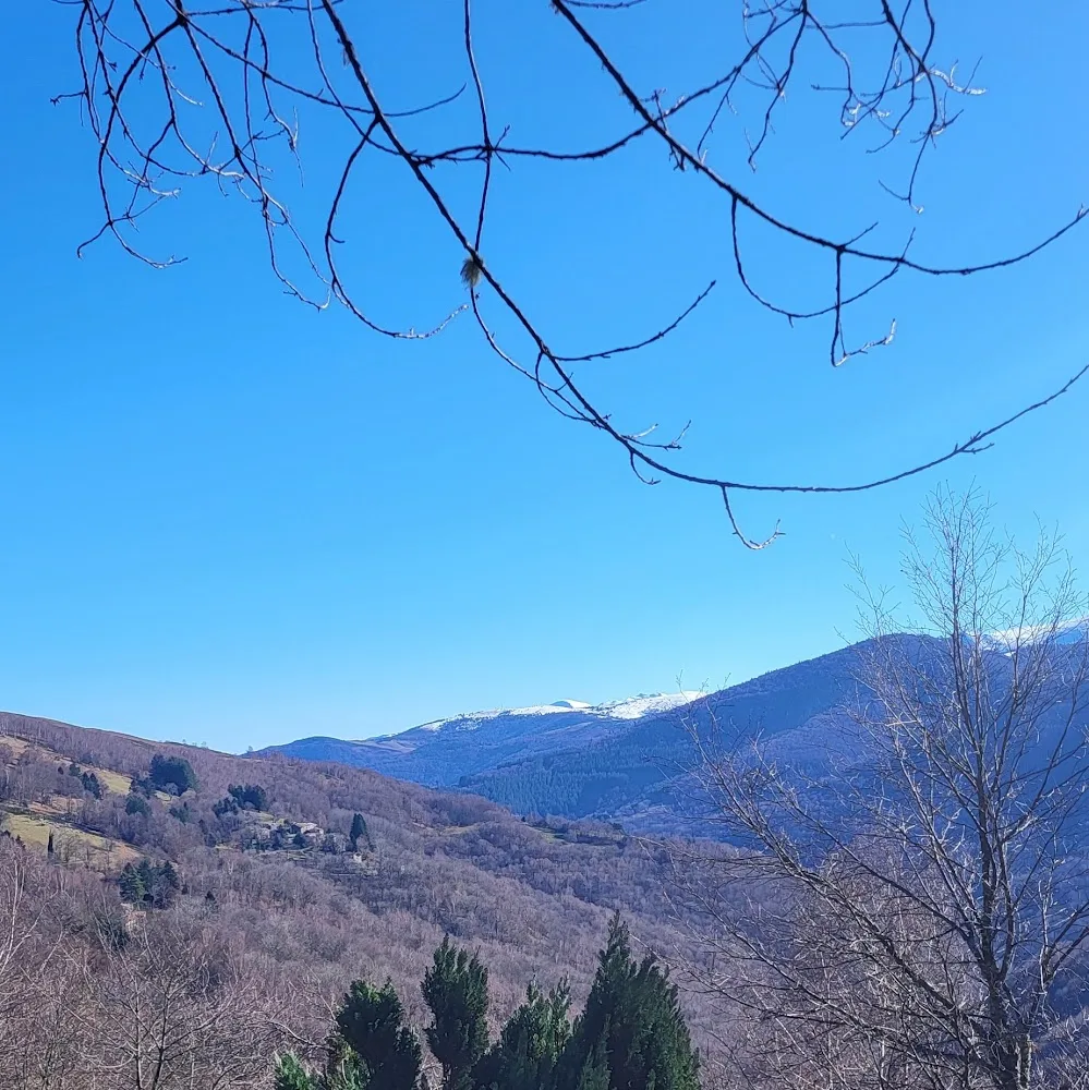 Pension pour chat - Ariège pet otel görseli 4
