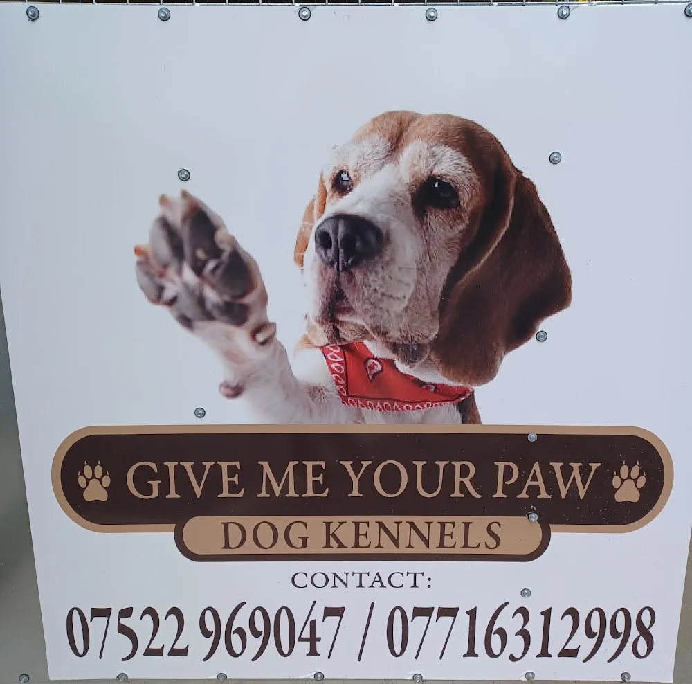 Give Me Your Paw Dog Kennels - Armagh, Banbridge and Craigavon pet otel