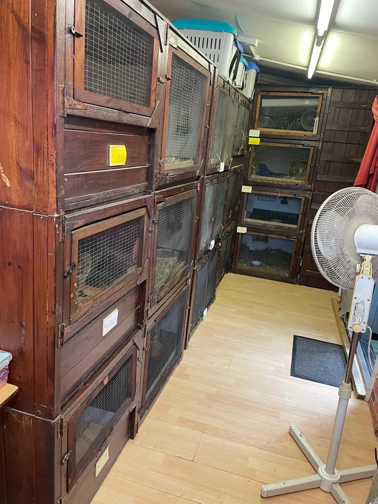 Ashford Small Animal Boarding - Ashford pet otel görseli 3
