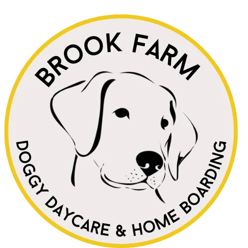 Brook Farm Doggy Daycare and Home Boarding - Ashford pet otel