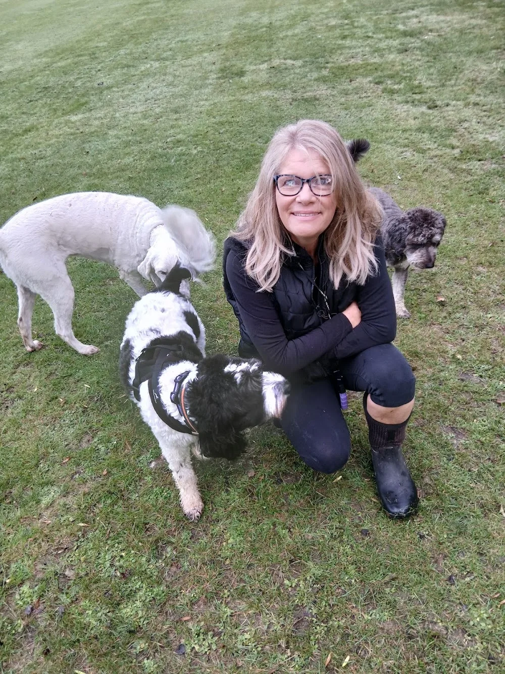 Happy tails dog boarding - Ashford pet otel görseli 3
