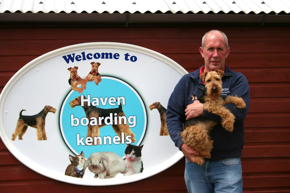 Haven Boarding Kennels & Cattery - Kennels & Cattery Ashford - Ashford pet otel