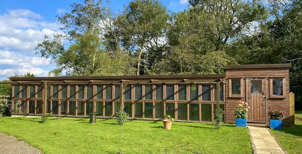 Hazelwood Boarding Cattery - Ashford pet otel
