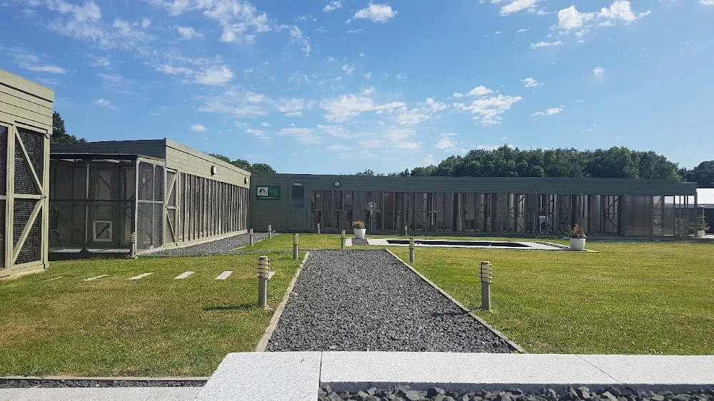Ranpura Farm Cattery - Ashford pet otel görseli 2